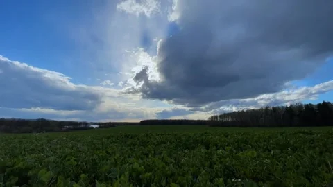 Timelapse of rain clouds over the forest Stock Footage 153042351