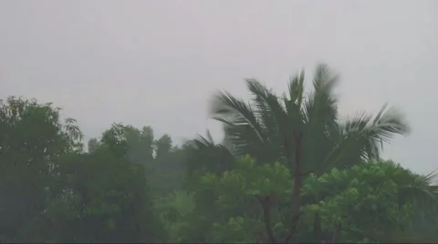 Timelapse before rain storm Stock Footage 42179137
