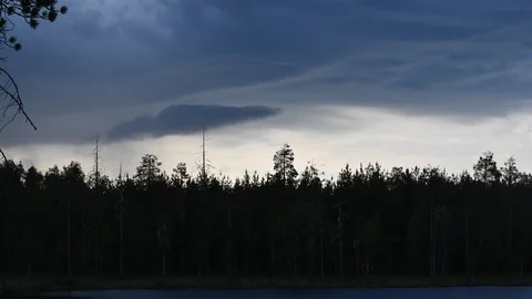 Timelapse rain storm over pine forest Stock Footage 110270054