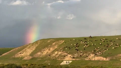 Timelapse of Rainbow Over Green Hillside with Grazing Sheep, Tibetan Plateau 库存影片 336830878