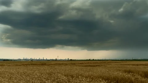 Timelapse - Rainclouds over a wheat field Vídeo Stock 65495204