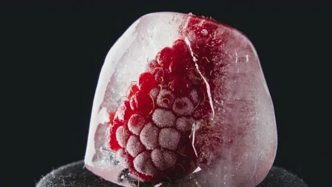 Timelapse Raspberry Melts in a Piece of Ice Stock Footage 201075532