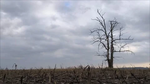Timelapse the rays of the sun over the field. Natural background timelapse Stock Footage 292764843