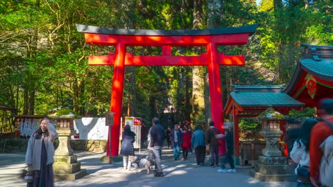 Timelapse of the red Torii gate nestled in the mountain forest at Hakone Shrine Stock Footage 333406308