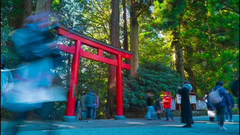Timelapse of the red Torii gate nestled in the mountain forest at Hakone Shrine Stock Footage 333472764