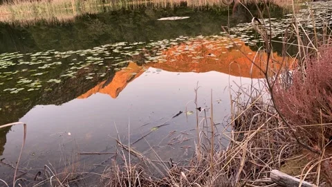 Timelapse reflection of a sunset in a still dam 스톡 동영상 170140484