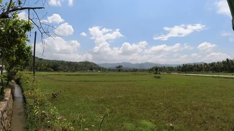 Timelapse of rice field with nice sky Stock Footage 121488323