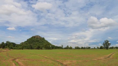Timelapse rice paddy on cloud and blue sky. 動画素材 36514650