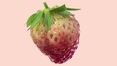 Timelapse of ripening strawberry on light background Stock Footage 254955065