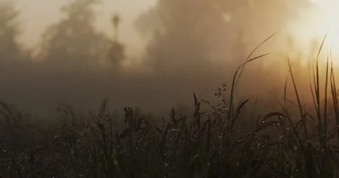 Timelapse of the rising sun on the meadow Stock Footage 152850526