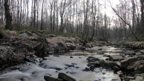 Timelapse of a river during a sunny day Stock Footage 171569191