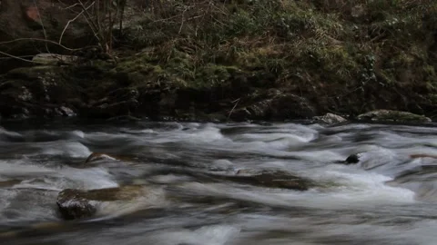 Timelapse of a river flowing Stock Footage 171569260