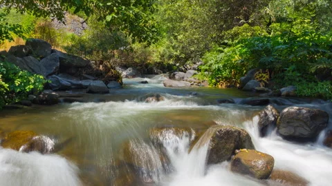 Timelapse of river with rocks in beautiful forest at Garni Geghard. 스톡 동영상 169296554