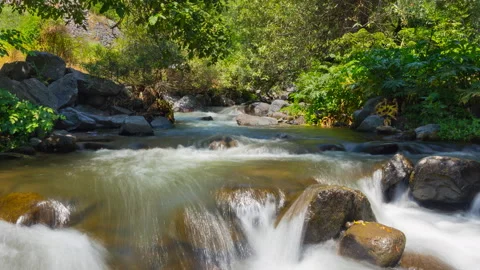 Timelapse of river with rocks in beautiful forest at Garni Geghard. Stock Footage 169297414