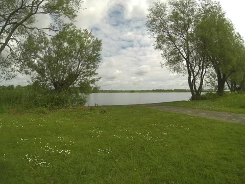 Timelapse - River, trees and sky - Netherlands Stock Footage 55081300