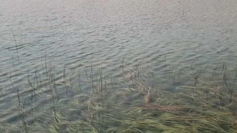 Timelapse of river waves Stock Footage 135333657