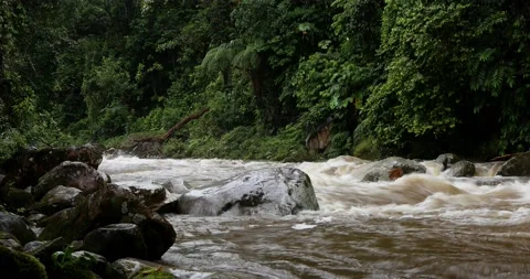 Timelapse of a river of which the muddy water level is going down Stock Footage 154695376