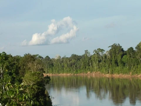 Timelapse of Riverbank in Amazon Jungle Rainforest to Sunset Stock Footage 112938445