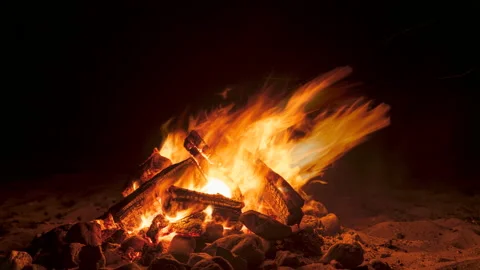 Timelapse of a roaring beach campfire Stock Footage 159961761