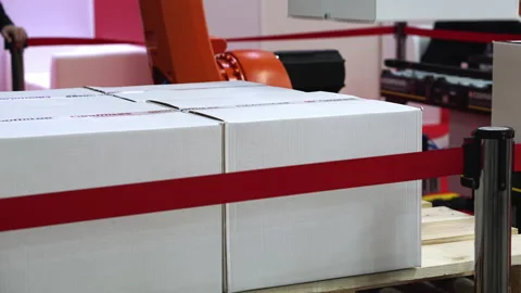 A timelapse of the robotic arm's work. Stock Footage 197405542