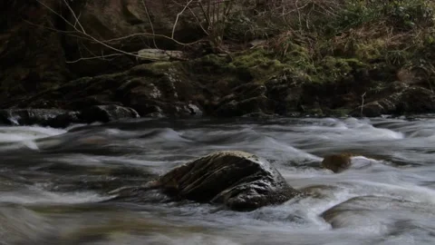 Timelapse of a rock in a river Stock Footage 171569258