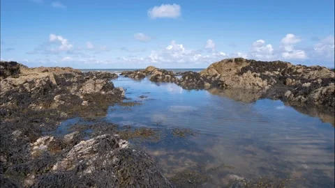 Timelapse of a rockpool off the Welsh coast Видео 183362968