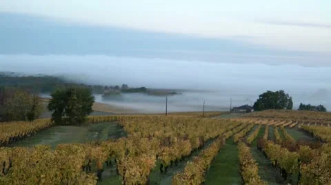 Timelapse rolling mist Stock Footage 21089577