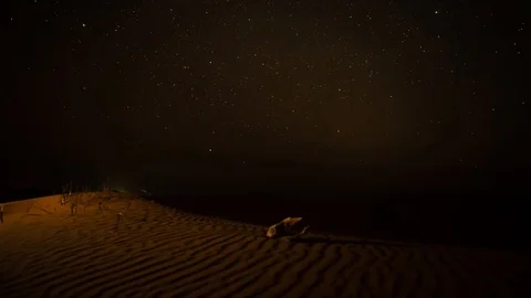 Timelapse rotation, falling stars , around a skull lying on a dune in the desert Stock Footage 126722475