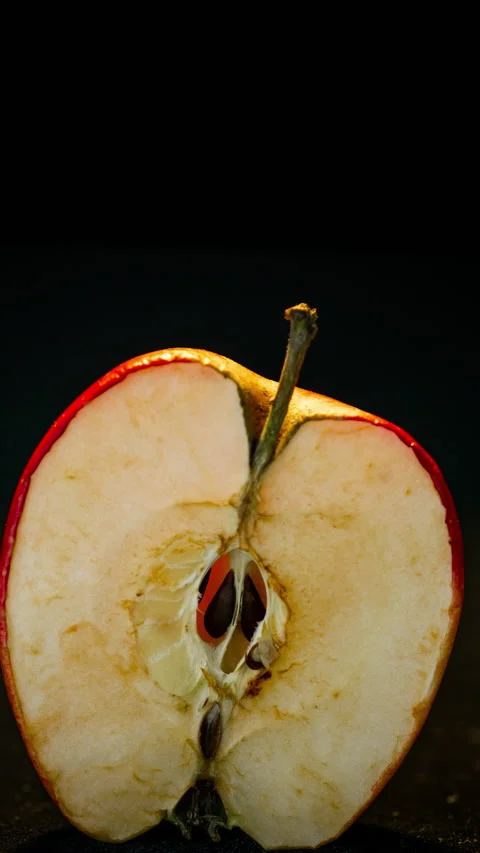 Timelapse rots red apple. The berry turns brown and dry. Time lapse shot Stock Footage 168022390