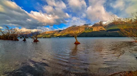 Timelapse Row Of Trees, Clouds And Mountain HD1080p 스톡 동영상 33309635