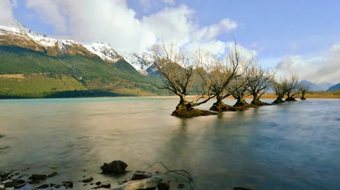 Timelapse Rows of Willow Trees And Cloud At Glenorchy HD1080p Video stock 32156643