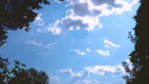 Timelapse. Running clouds against the background of forest Stock Footage 157285114