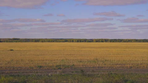 Timelapse rye field in September Stock Footage 158023747