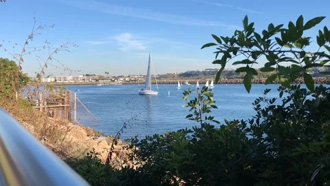 Timelapse Sailboats on Marina Stock Footage 114822158