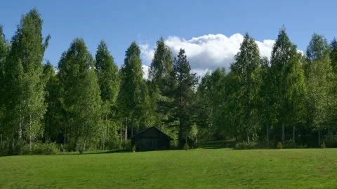 Timelapse scene with moving clouds above a lush green meadow Stock Footage 318923460