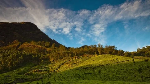 Timelapse scenery of plantations under the mountain. Andreev. Stock Footage 77844307