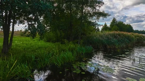 Timelapse scenic view of the slow river on a summer warm day. Stock Footage 134377050