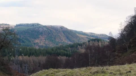Timelapse of Scottish Trees and Power Lines Stock Footage 201341219