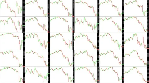 Timelapse screen. Fast time. Market technical analysis. Trading range Stock Footage 85880135