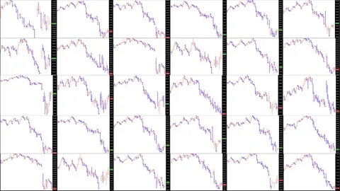 Timelapse screen. Fast time. Market technical analysis. Trading range Stock Footage 85880231