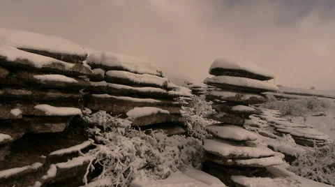 Timelapse on the screw Stock Footage 46795450