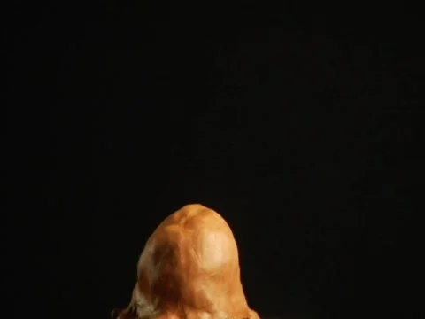 TimeLapse Sculpture Video stock 313277