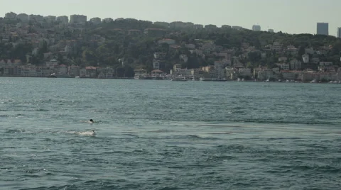 Timelapse at sea Stock Footage 41234462