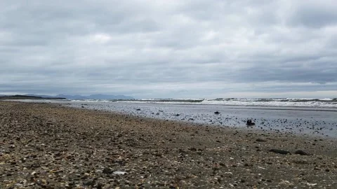 Timelapse of seashore on winters day 스톡 동영상 164678033