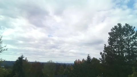 Timelapse of Seattle cloudy skyline view on sunny day. Stock Footage 141893207