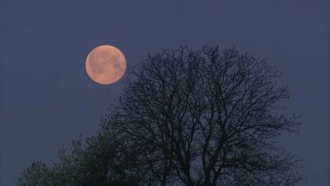 Timelapse of the setting full moon Stock Footage 308009984