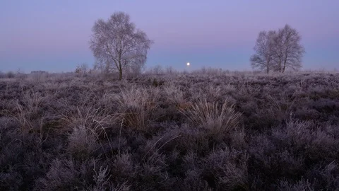 Timelapse of the setting moon and the first light of the sun. Video stock 101603705