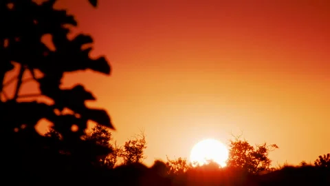 Timelapse of setting sun in countryside Video stock 141847649