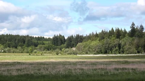 Timelapse of Shadowed Clouds Passing Over a Summer Field Stock Footage 62581704