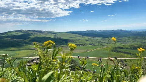 Timelapse of shadows of clouds run above green hills. Scenic view with flowers Stock Footage 265128028